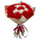 My message. Splendid round bouquet of red and white carnations.. Prague