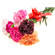 Mixed Color Carnations. Prague